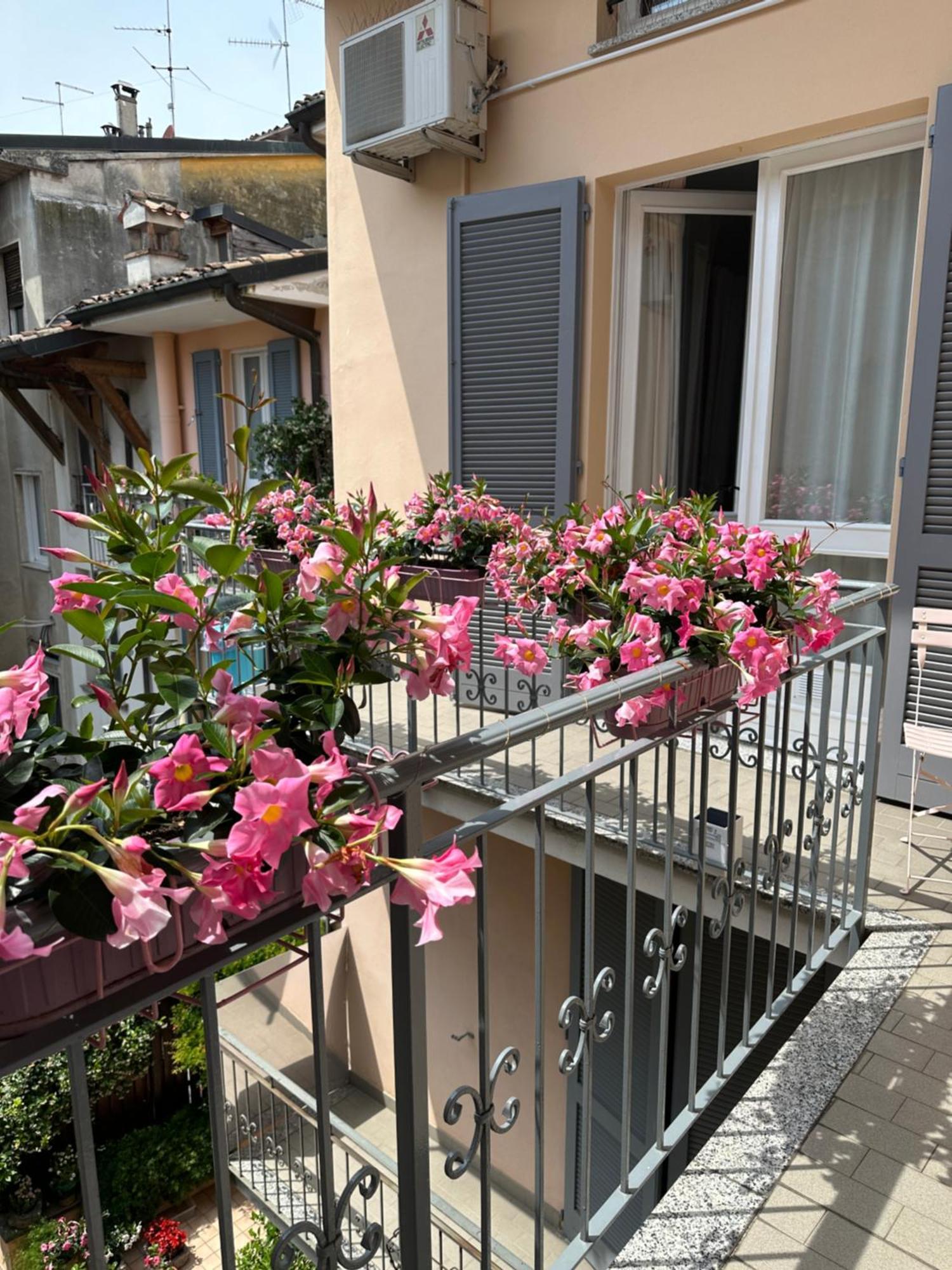 D-Place Apartment Piazza Duomo Crema Exteriör bild
